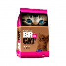 BR FOR CAT GATITOS 1 KG