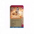 ADVOCATE PERROS 10-25 KG